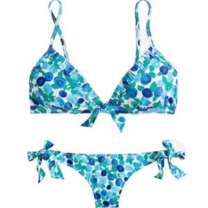 J. Crew Blueberry Bikini